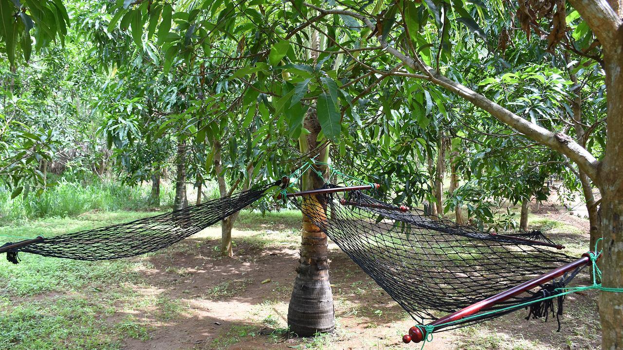 River Glamping By Gaga Bees Udawalawe Exterior foto